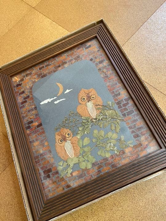 ふくろう　フクロウ　梟　押花　押し花　切り絵　アップリケ