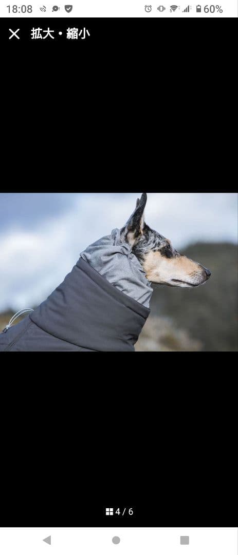 □フルッタ エクストリームオーバーオール グレー 30S