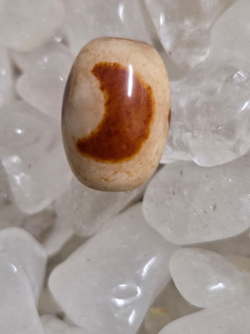 043　天珠４点セット！線珠　蓮花　黄龍眼　日月星　dzibeads！