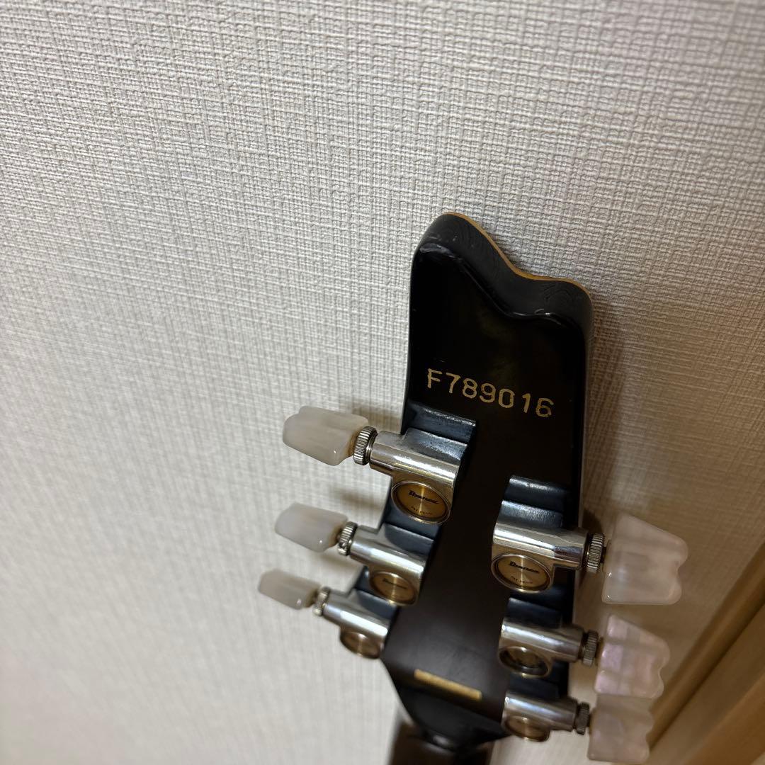 m*r様 Ibanez Paul Stanley