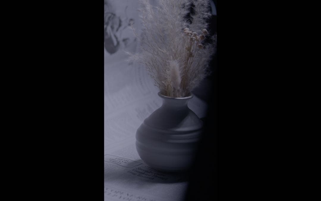 作例有CARL ZEISS 135mm f3.5 m42マウント