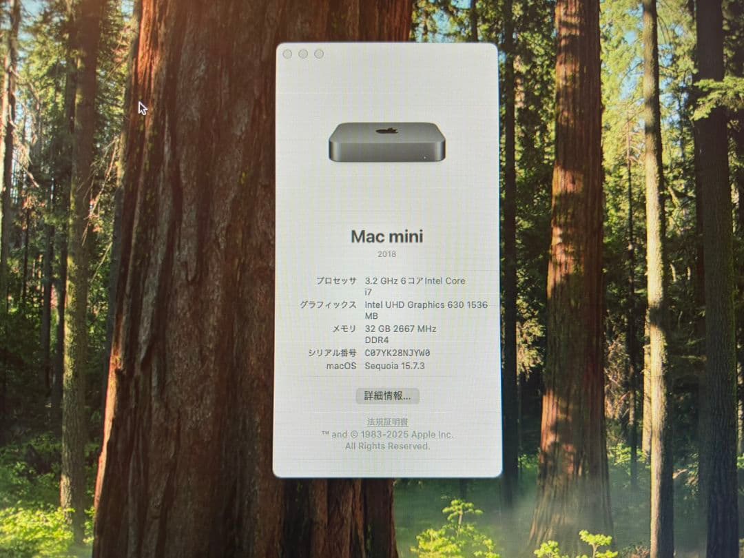 Macデスクトップ Mac mini 2018 i7 3.2GHz 32GB SSD256GB