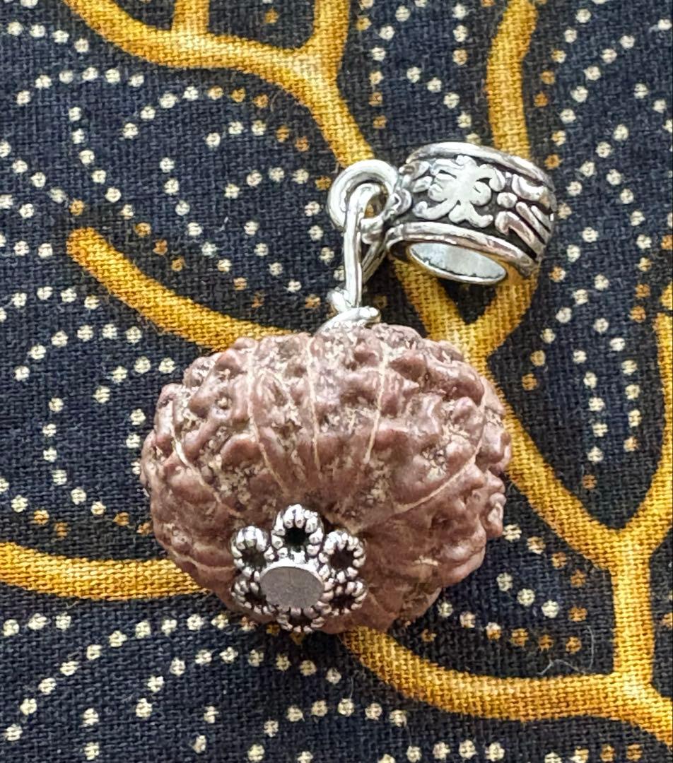 コッコブライド　ルドラクシャシナールブレスレット