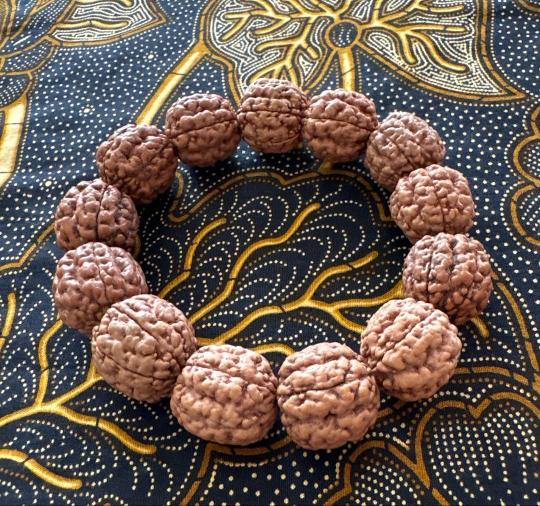 コッコブライド　ルドラクシャシナールブレスレット