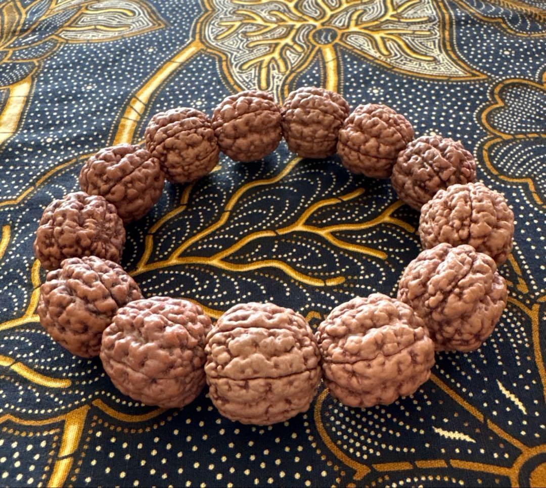 コッコブライド　ルドラクシャシナールブレスレット