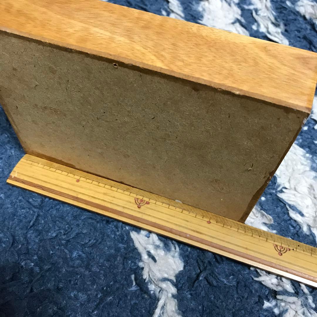 カブトムシ　クワガタ　飛翔標本　タイで購入