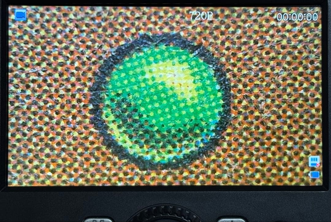 MTG Underground Sea [3ED] 英語版 PLD