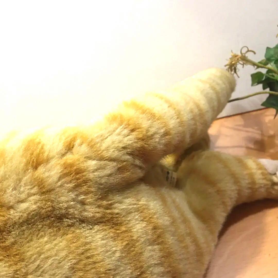 昭和猫レトロねこ　ぬいぐるみ　サンアロー