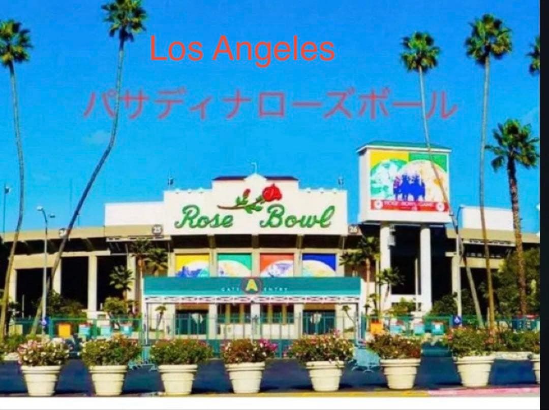 千枚セット‼️180万円相当＊百年前のビンテージ当時物＊アニマル柄＊紙ラベル