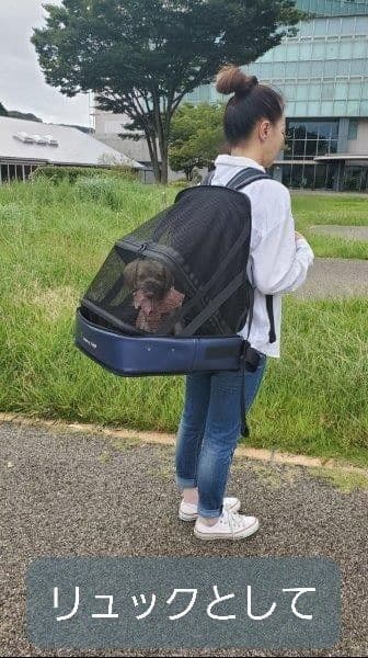 ペット乗車具　5ways