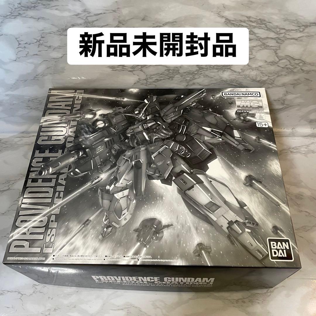 ＭＧ 1/100 プロヴィデンスガンダム [スペシャルコーティング]