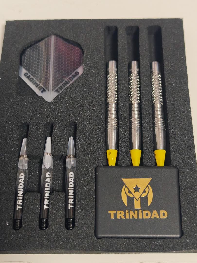 ダーツ TRiNiDAD PRO Saldivar4