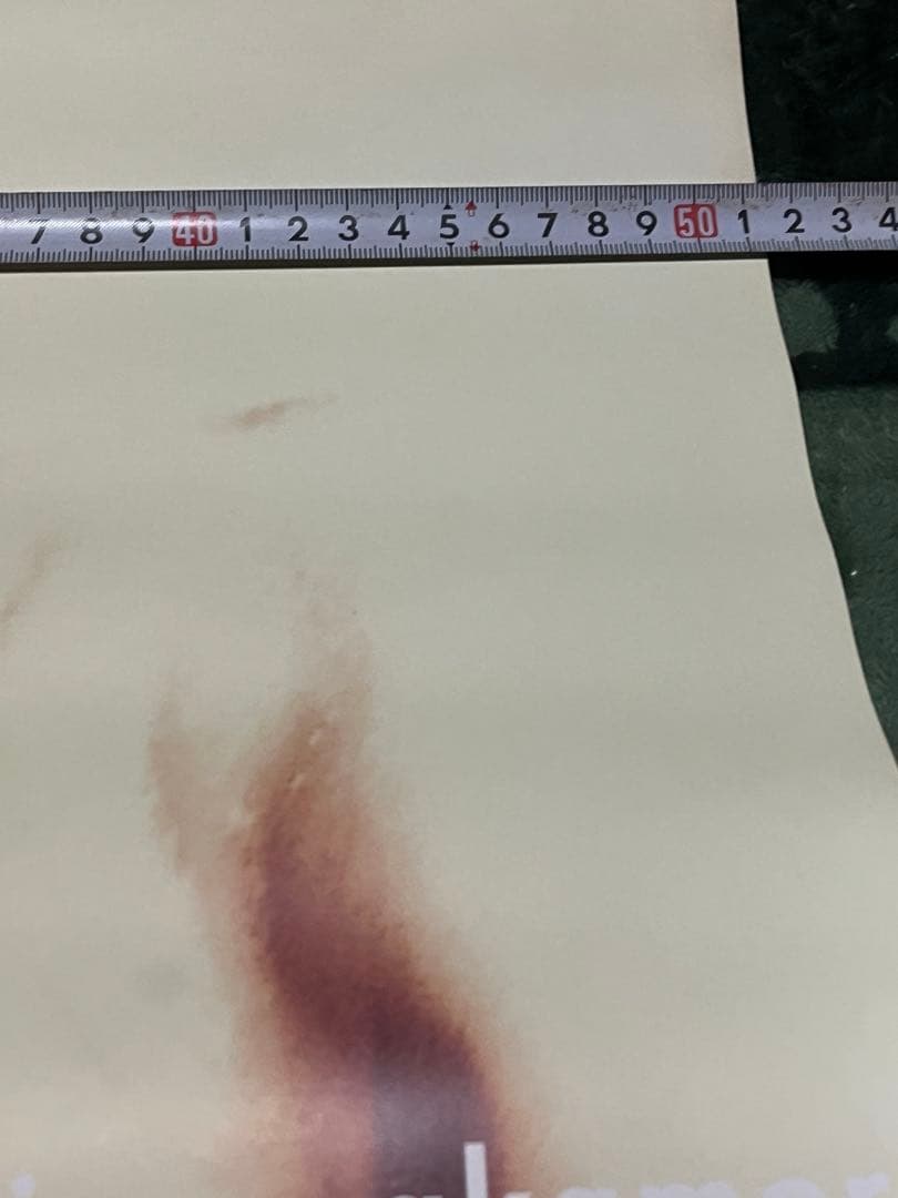 Akina Nakamori ポスター 二枚！