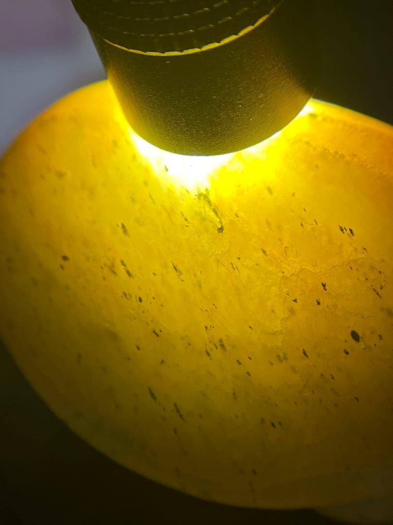 本物和田玉★籽料★青花黄皮！招財モチーフ龍亀証明書付き