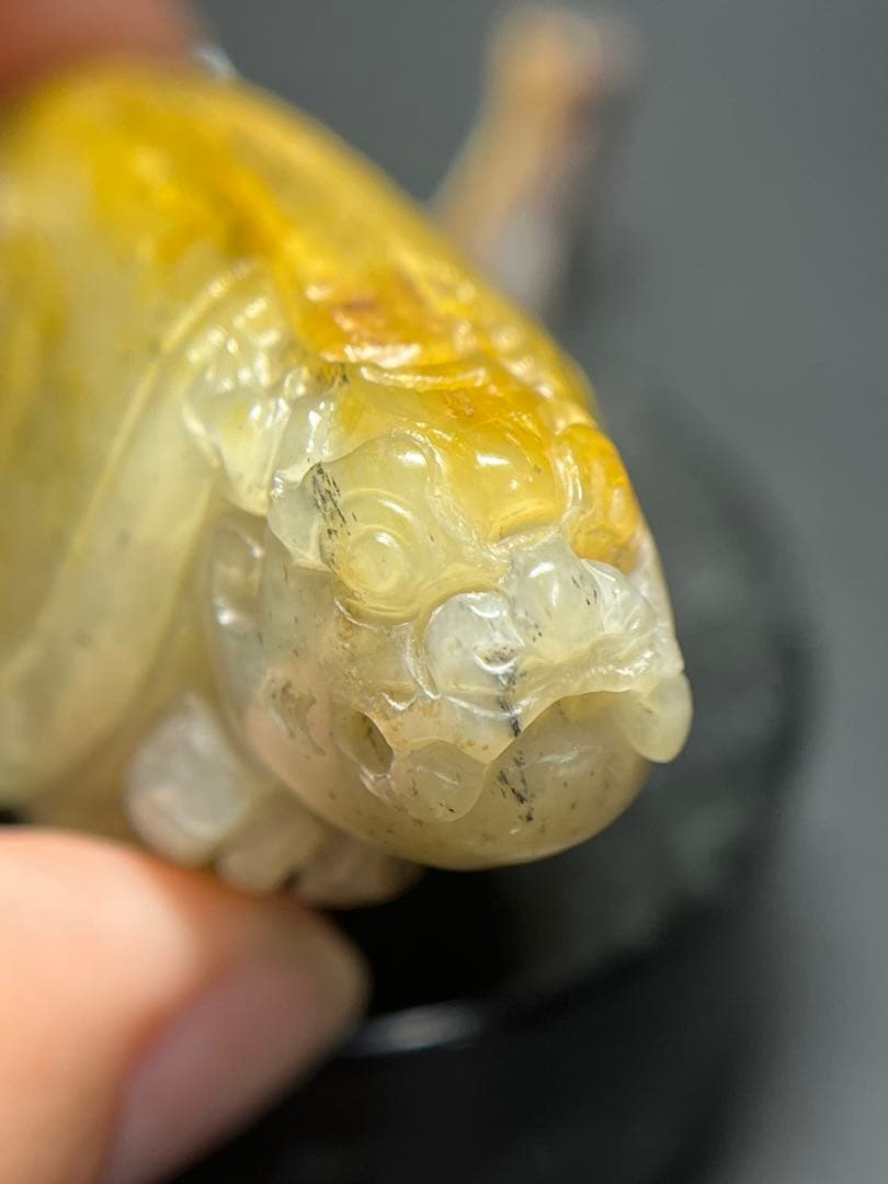 本物和田玉★籽料★青花黄皮！招財モチーフ龍亀証明書付き