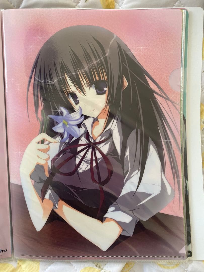 生徒会の一存　クリアファイル　グッズ