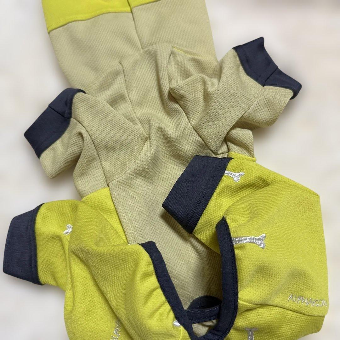 アルファアイコン ドッグガードクール バナナ