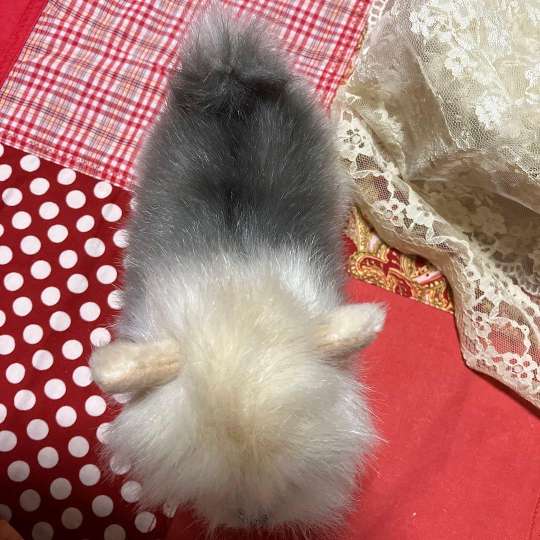 ぬいぐるみ　犬　ヨークシャテリア　子犬　わんちゃん　リアル　テリア　ヨーキー