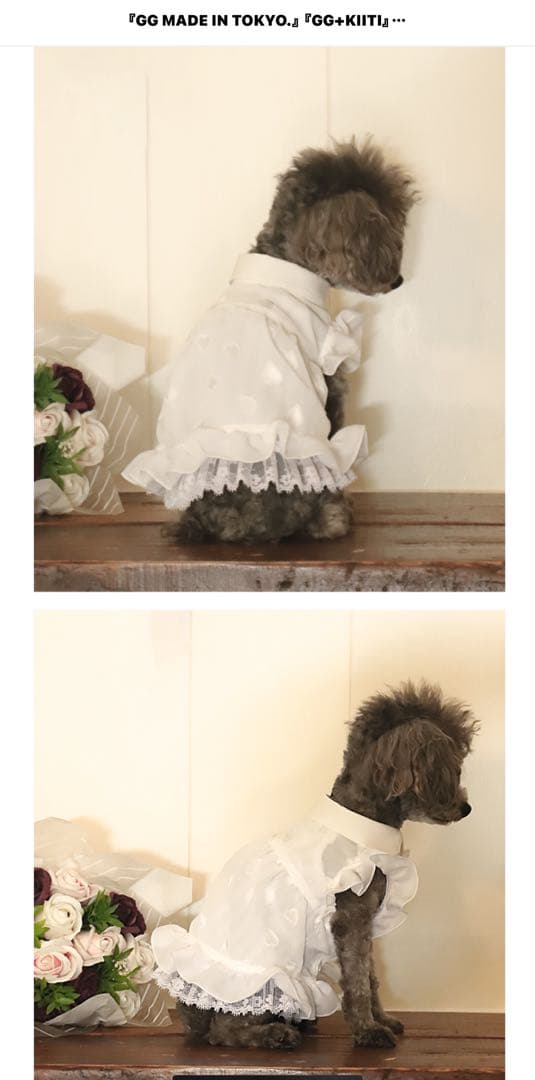 Atelier gg ホワイトプリンセス