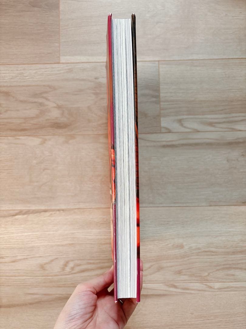 ロッキンジェリービーン 画集 希少 絶版 イラスト集 本 エロスティカ