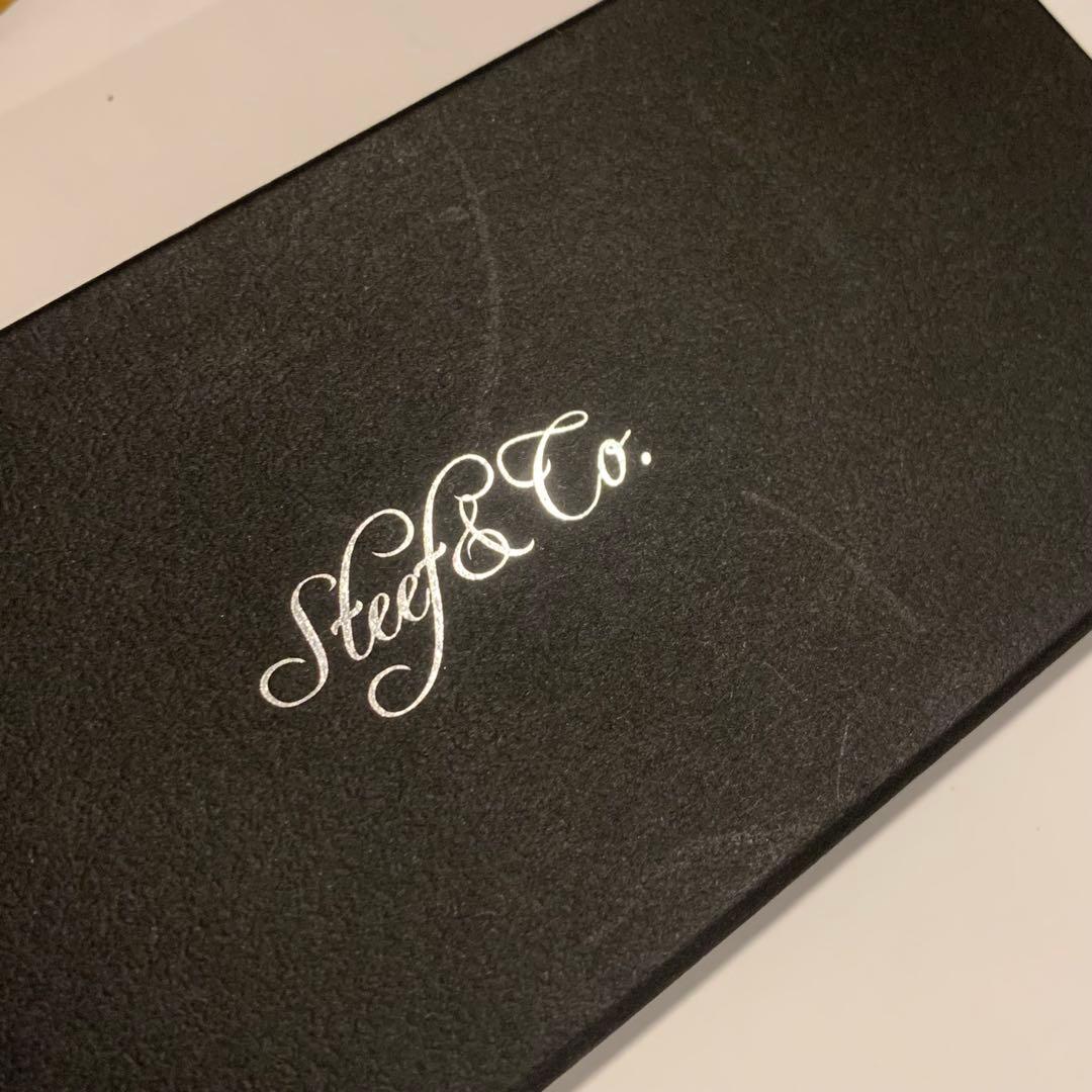 Steef&Co. ST Draft スタビライズドウッド　シャープペンシル