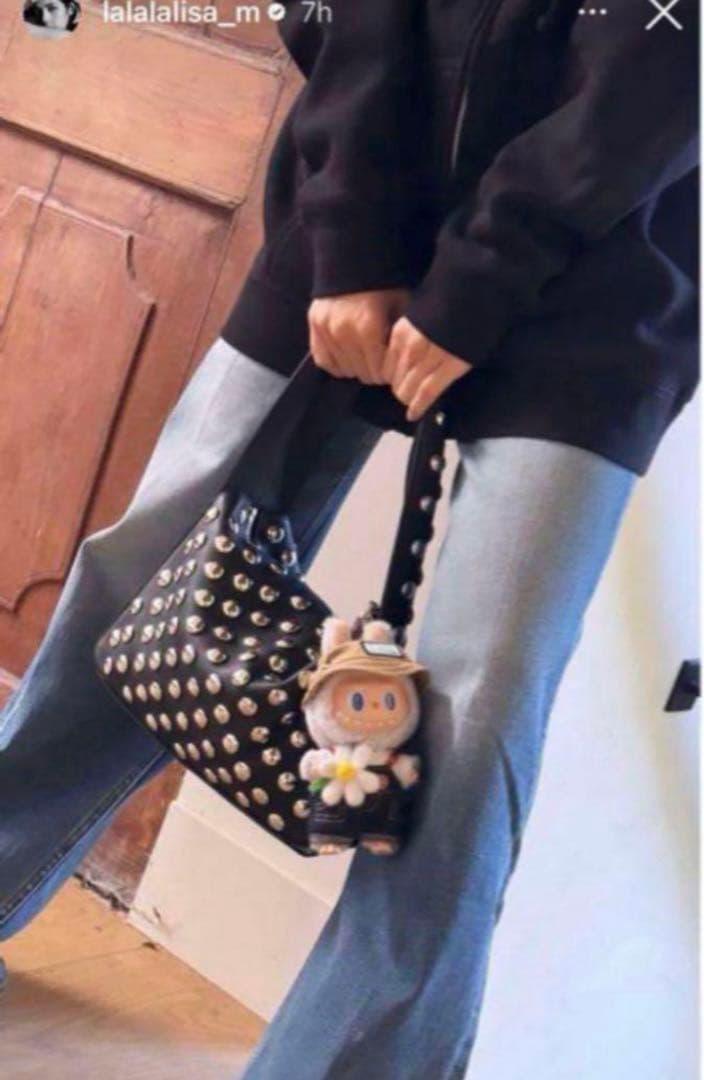 LABUBU THE MONSTERS FALL IN WILD 2点セット