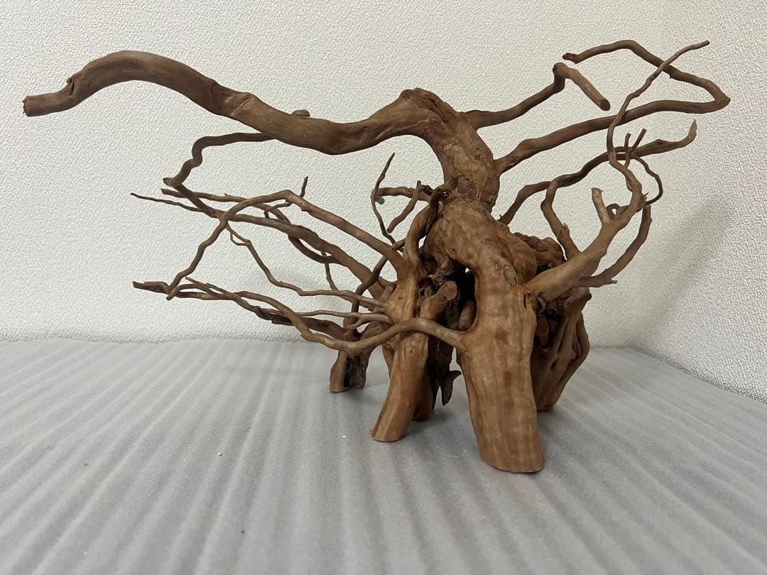 32613 ブランチウッド　流木　アクアリウム