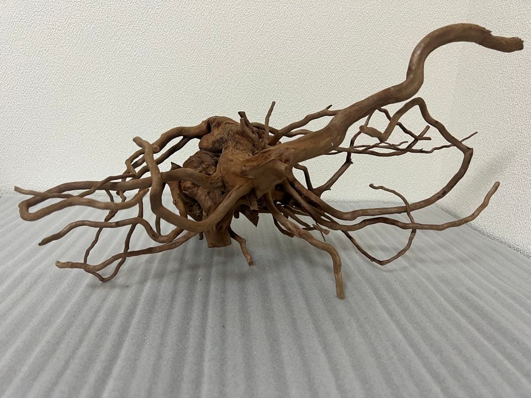 32613 ブランチウッド　流木　アクアリウム