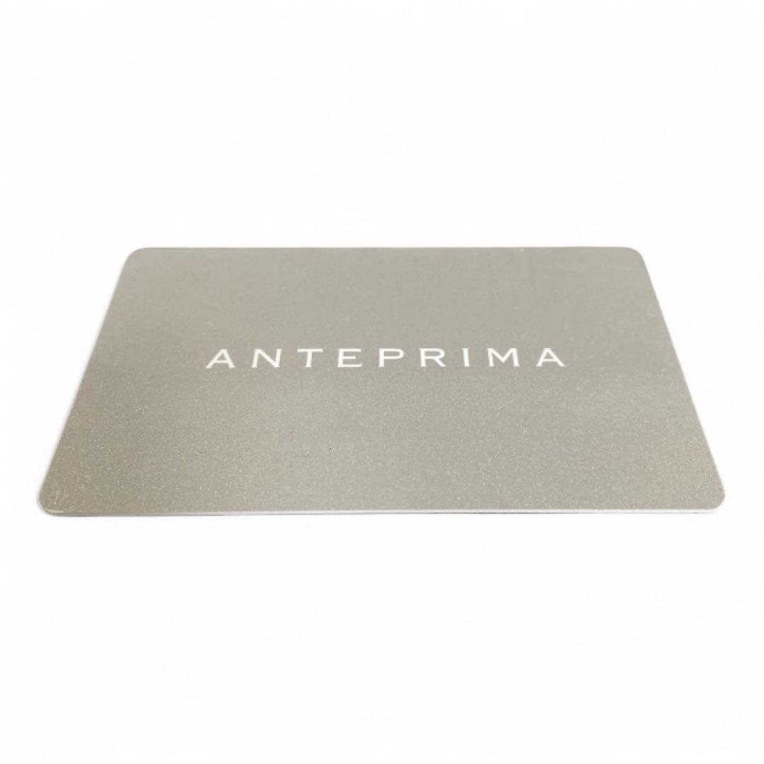 アンテプリマ ワイヤーバッグ リボンチャーム シルバー 2WAY