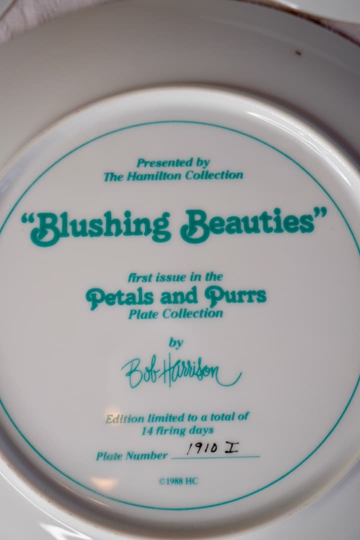 イギリス ヴィンテージ 猫 絵皿 3枚セット コレクションプレート