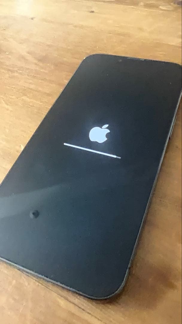 iPhone 13 Pro 256GB グラファイ｜SIMフリー｜動作確認済み