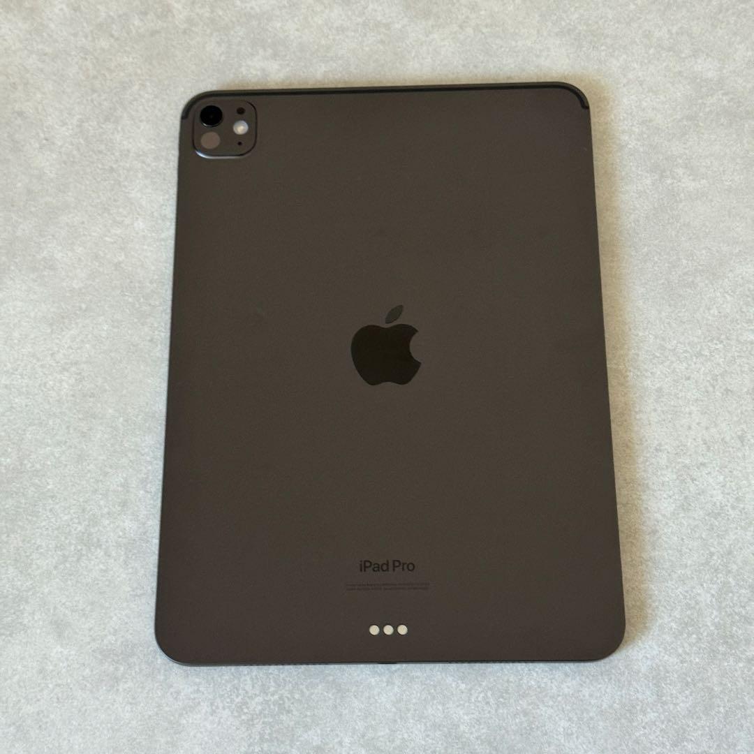 【極美品】iPad Pro M4 11 256GB 【ApplePencil付】
