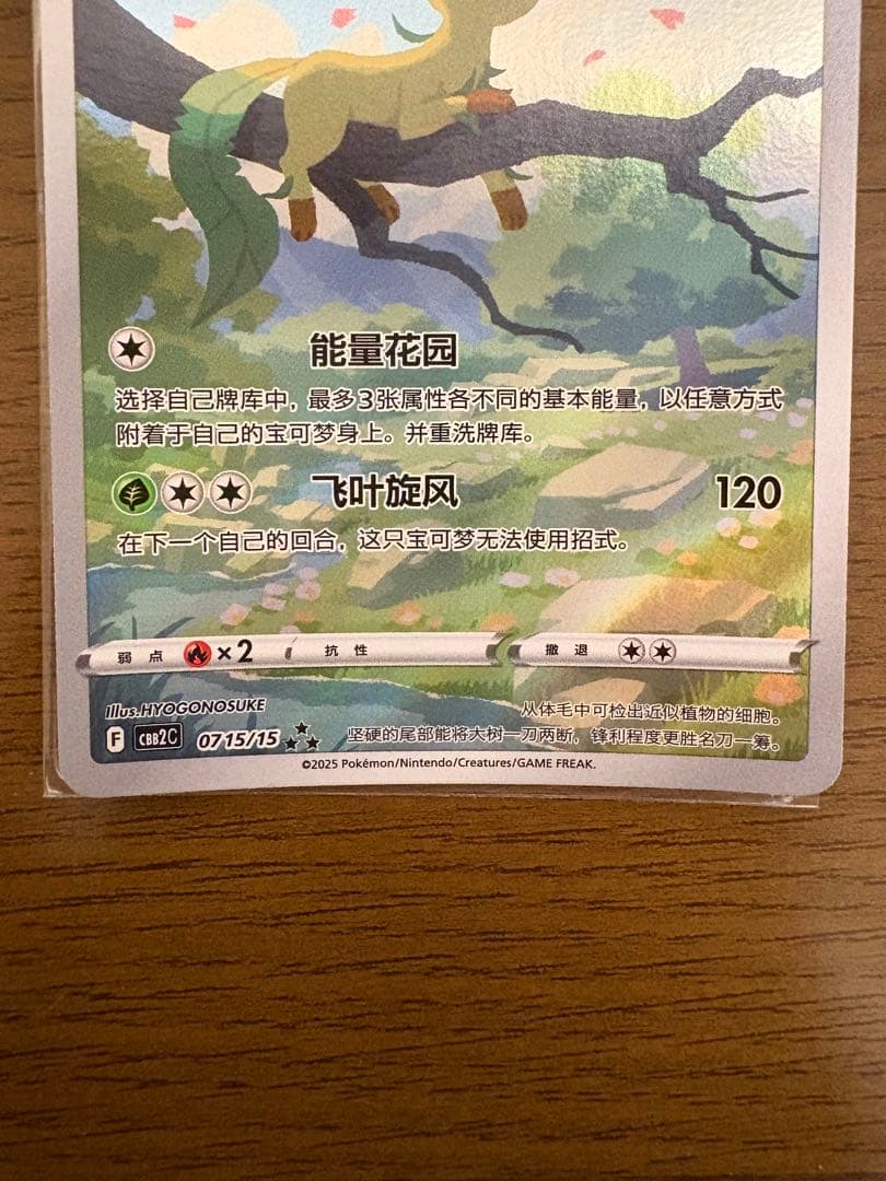 リーフィア AR 中国語版