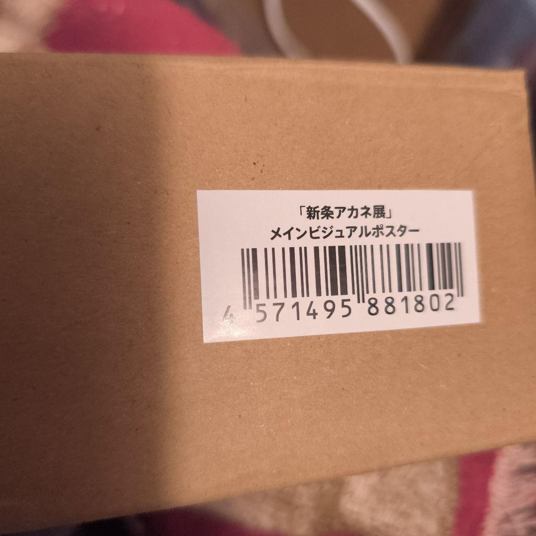 新条アカネ展　メインビジュアルポスター　新品未開封