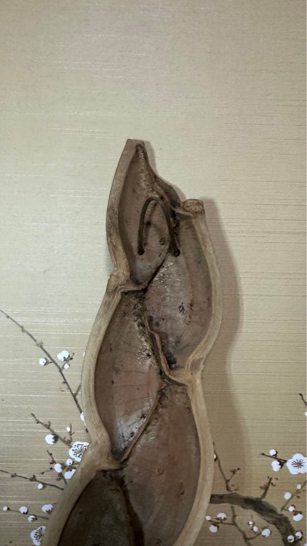 短冊掛け　亀甲竹製　赤富士短冊付き　茶道具