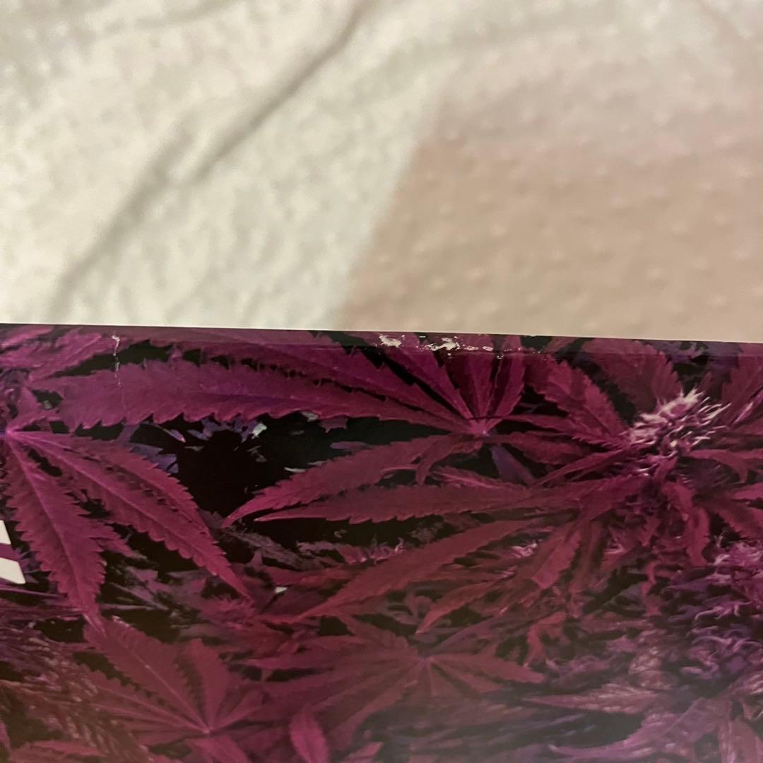 舐達麻　 NORTHERNBLUE1.0.4. レコード LP