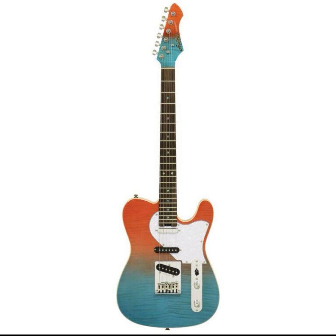 Aria Evergreen Aria Pro II限定モデルオリジナルケース付