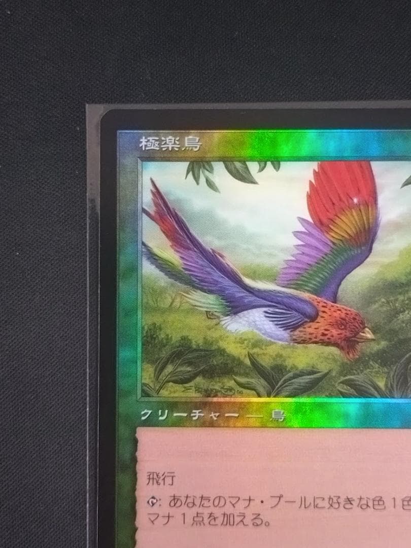 MTG 極楽鳥/Birds of Paradise ７ED 日本語 foil