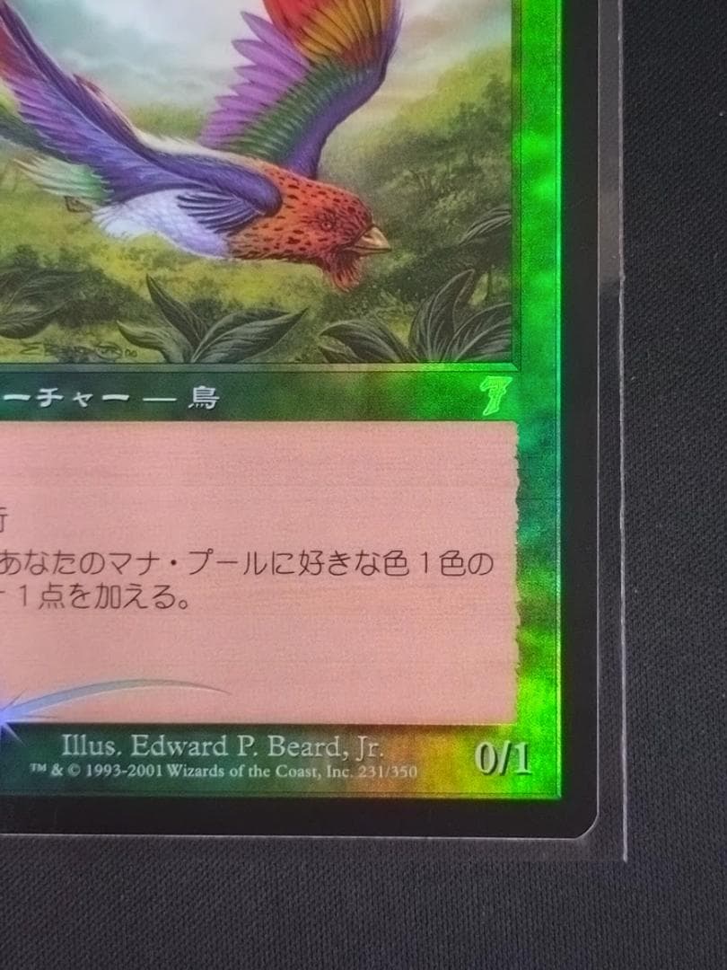 MTG 極楽鳥/Birds of Paradise ７ED 日本語 foil