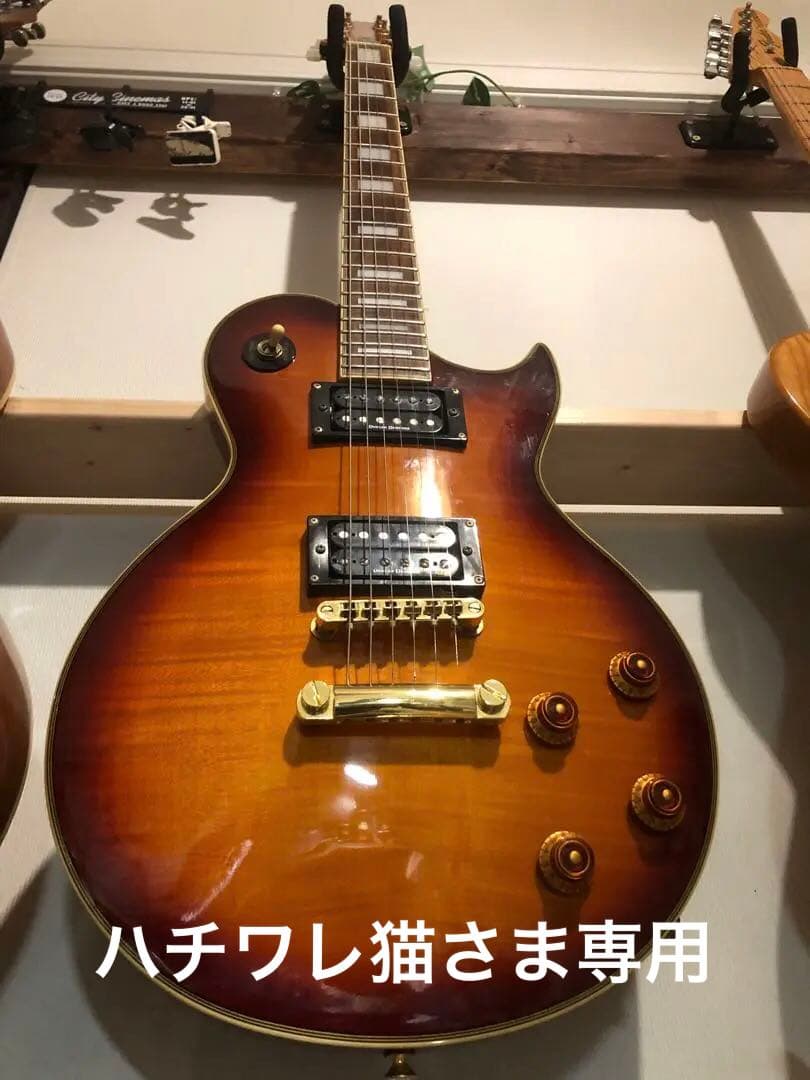 【ハチワレ猫さま専用】AriaProⅡ PE-DLX