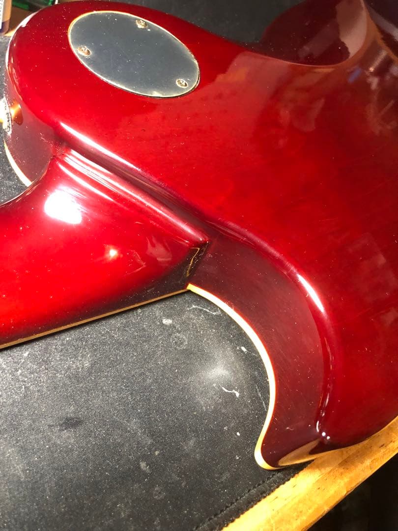 【ハチワレ猫さま専用】AriaProⅡ PE-DLX