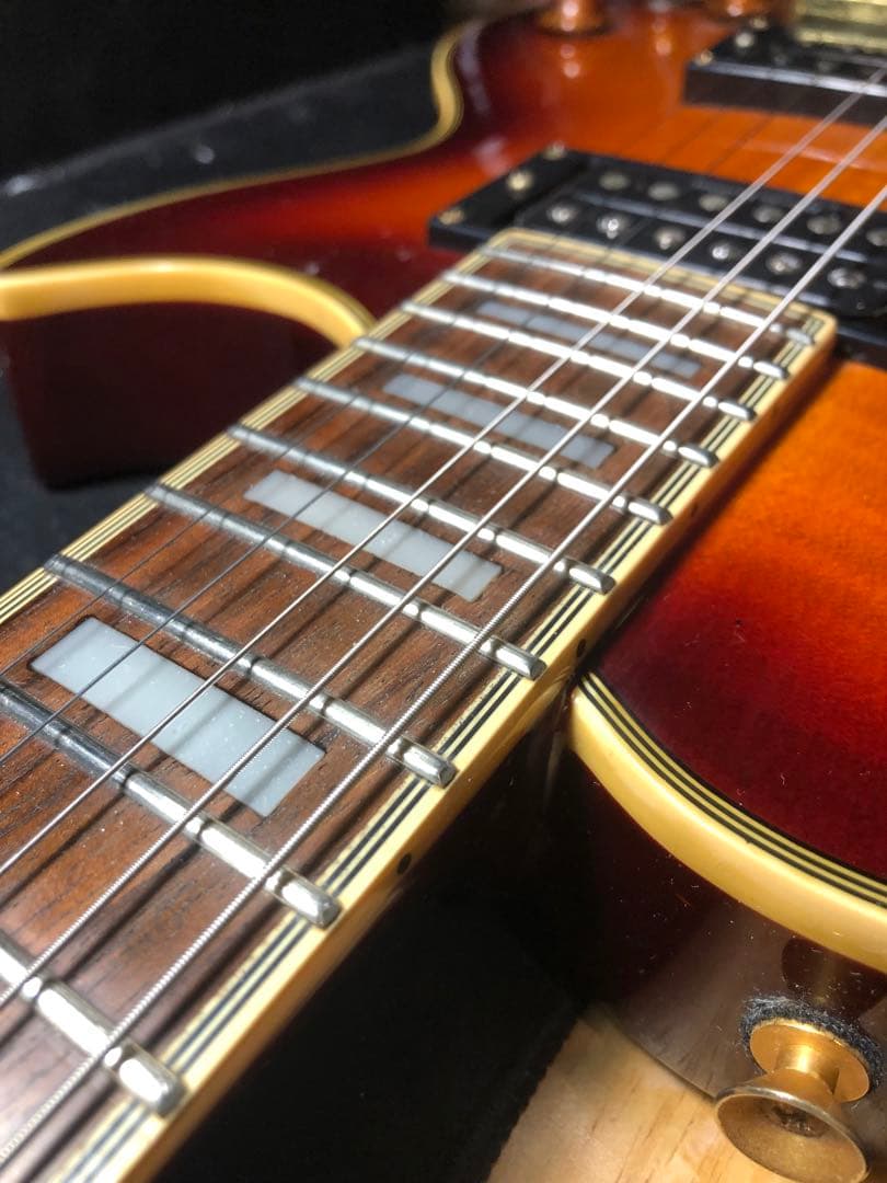 【ハチワレ猫さま専用】AriaProⅡ PE-DLX