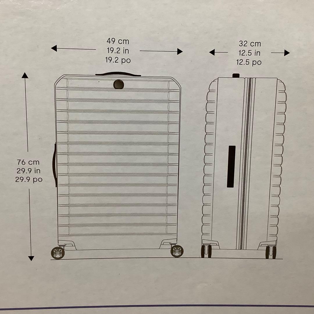 新品同様　DELSEY　デルセー ヘリウムエッジ 101L　※318