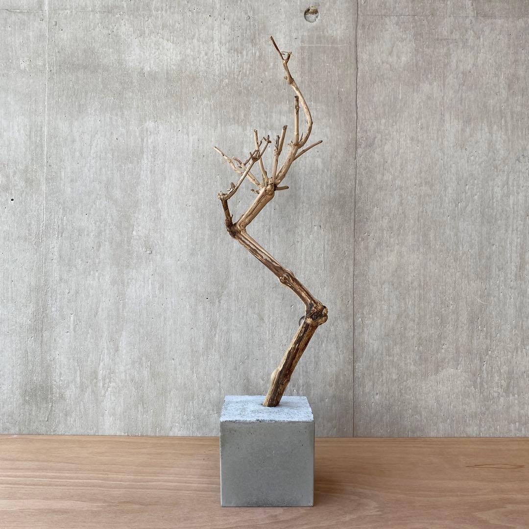 【コンクリート盆栽 流木オブジェ】ディスプレイ アート インテリア 鍵 爬虫類