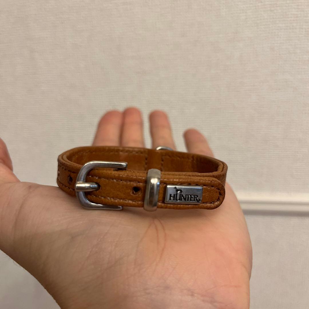 Hunter キラキラスワロフスキー付き　首輪　リード　ハーネスセット