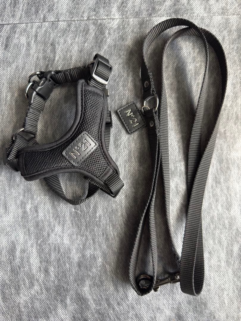 n°21 ハーネス&リード xs