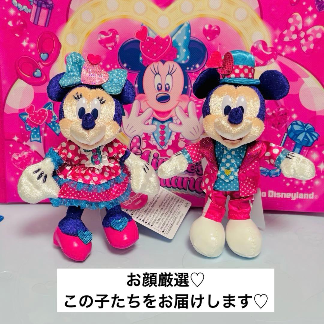 【匿名配送】　ミニーのファンダーランド　ぬいぐるみバッジ　ミッキー　ミニー