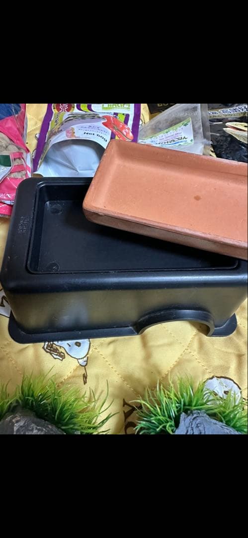 爬虫類・両生類用飼育セットまとめ売り