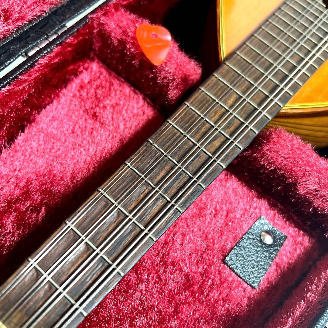 【良品】SUZUKI マンドリン　M-30 ハードケース　スズキ　M30