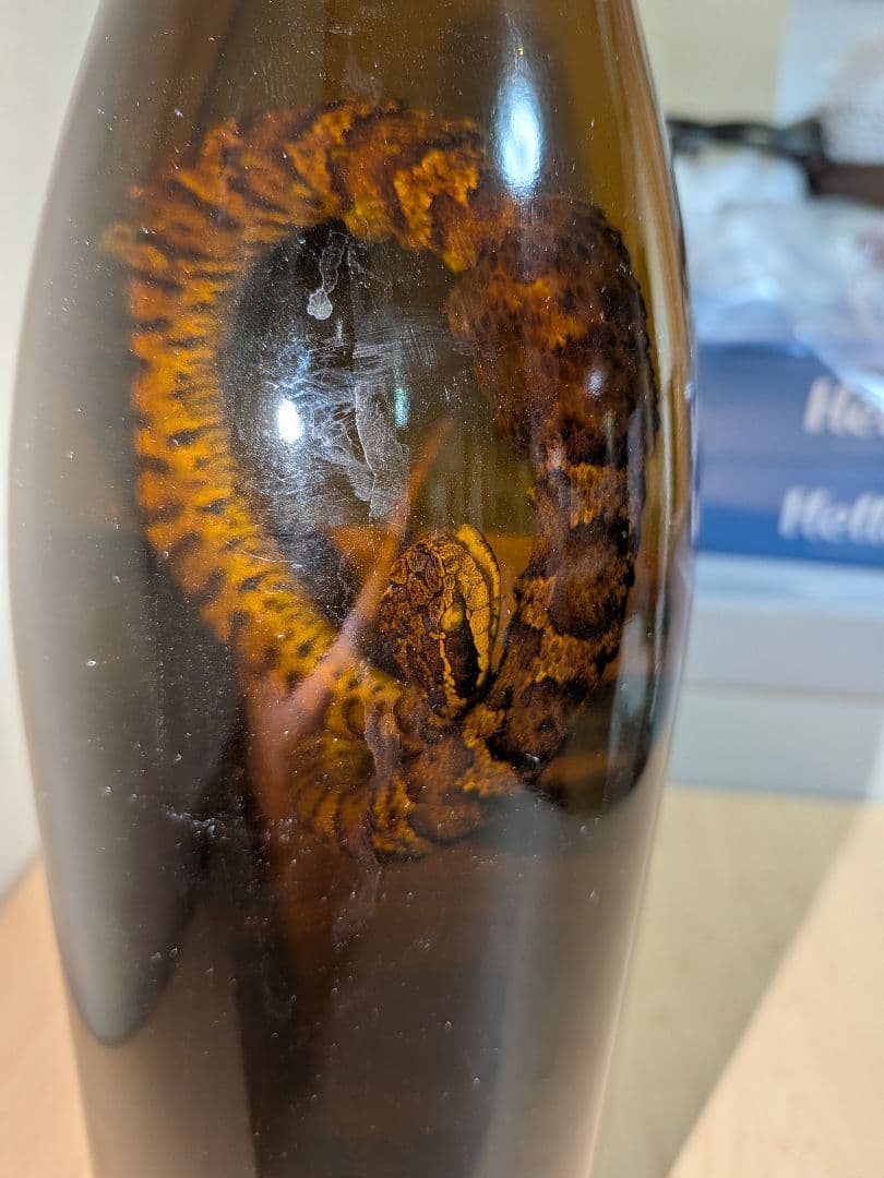 マムシ酒（岐阜県産）